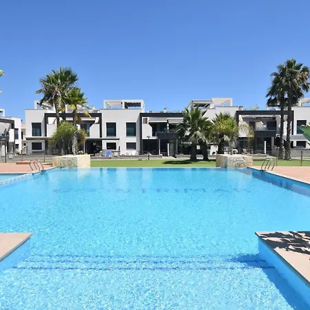 Oasis *